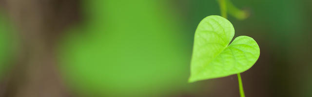 BPA-mentes fogtömések a fenntarthatóság jegyében