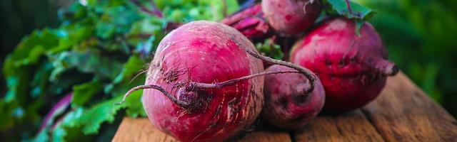 Bíborszín csodánk, a cékla