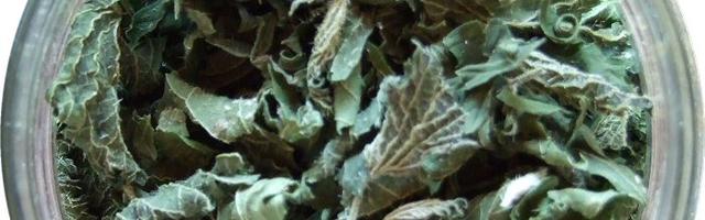 Gyógyuljunk gyógyszerek nélkül!