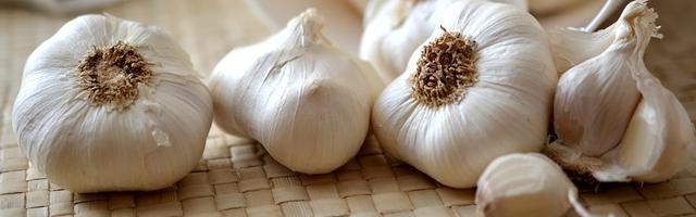 Fokhagyma, nem csak vámpírok ellen!  2. Rész