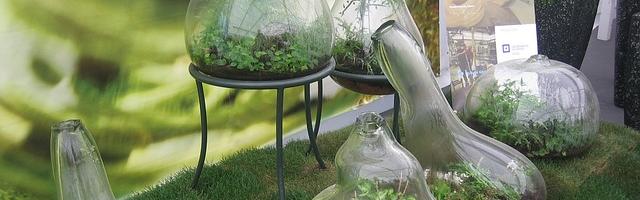 Too much of a good thing