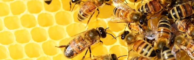 11 házi praktika égési sérülés ellen