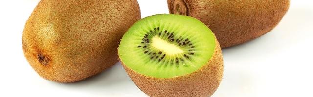 Egy szőrös tojás, a kivi