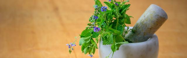 Gyógynövények otthoni szájápoláshoz