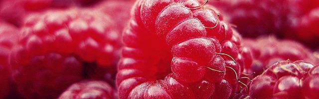 Zabpelyhes málnaleves