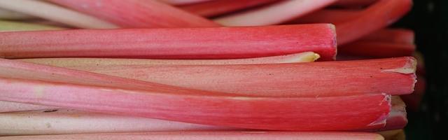 Rebarbarás mangó - eper turmix