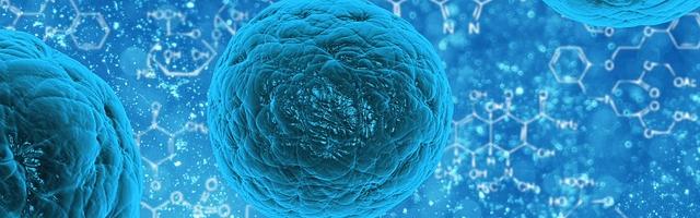 Őssejtek segítenek nekünk a fogpótlásban