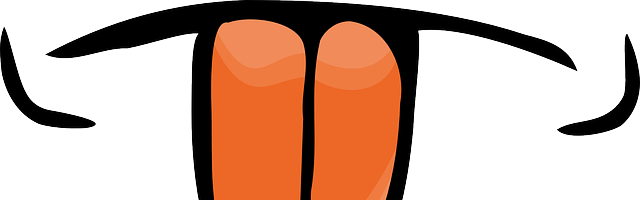 Nyelvelszíneződés és okai