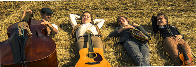 bristolharbourfestival