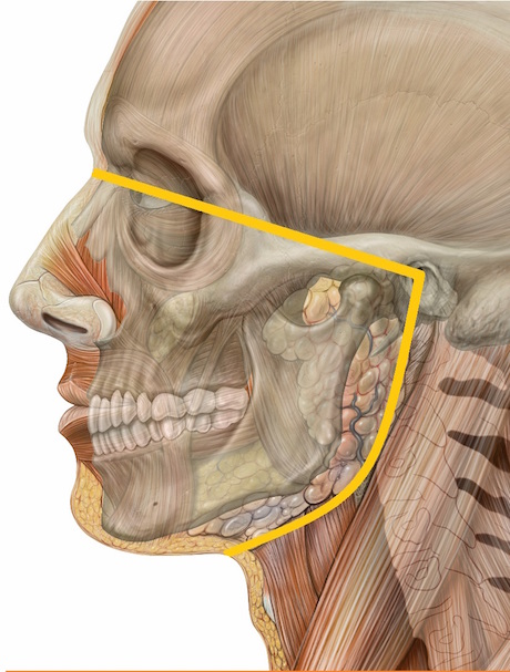 gerodontics1