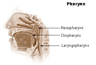 oropharyngeal cancer